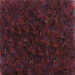 Black Cherry